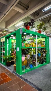 🌿✨ ¡Arteco ya está en la Feria del Hogar 2025! ✨🌿
📍 Encuéntranos en Corferias – Pabellón 6, Stand 539
Materas, plantas y mucho más para transformar tu hogar 🏡💚

👉 ¡Ven y vive la experiencia Arteco!