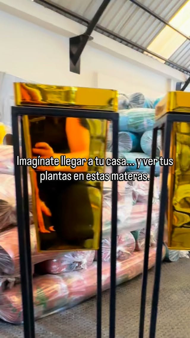 Imagínate abrir la puerta y ver tus plantas así…
lindas, organizadas y en materas que realmente hacen que tu espacio se vea mejor.

Las materas no solo sostienen plantas, transforman tu hogar y le dan vida a cada rincón.

Si quieres que tu espacio se vea así, escríbenos en Arteco y encuentra la matera ideal para ti.

#materas #vivero #materaspersonalizadas #hogar #plantas