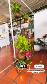 🌱 Así lucen las materas Arteco en el espacio de uno de nuestros clientes. Gracias por confiar en nuestra marca. 💚 Escríbenos y transforma tu hogar o negocio con nosotros.

#materas  #vivero  #hogar  #materaspersonalizadas  #plantas