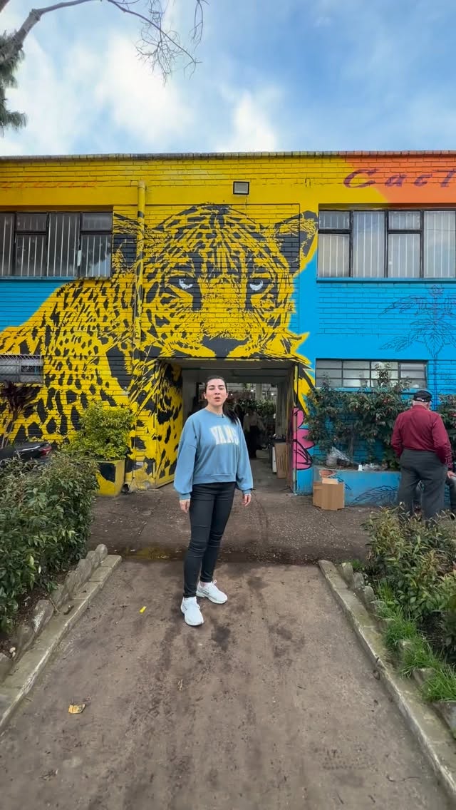 En Arteco queremos invitarte a conocer el Mercado Nacional de Plantas, un lugar lleno de vida donde, además de nuestras materas, encontrarás más de 40 puestos con una gran variedad de plantas, insumos y artículos agrícolas.

Un espacio perfecto para inspirarte, decorar y llevar todo lo que necesitas para tu hogar o vivero. 🌱✨

📍 Calle 23A #27-41
🕒 Horarios:
Lun y jue: 8:00 a.m.–11:00 p.m.
Mar y vie: 3:00 a.m.–9:00 a.m.
Festivos: horario habitual

¡Te esperamos! 💚