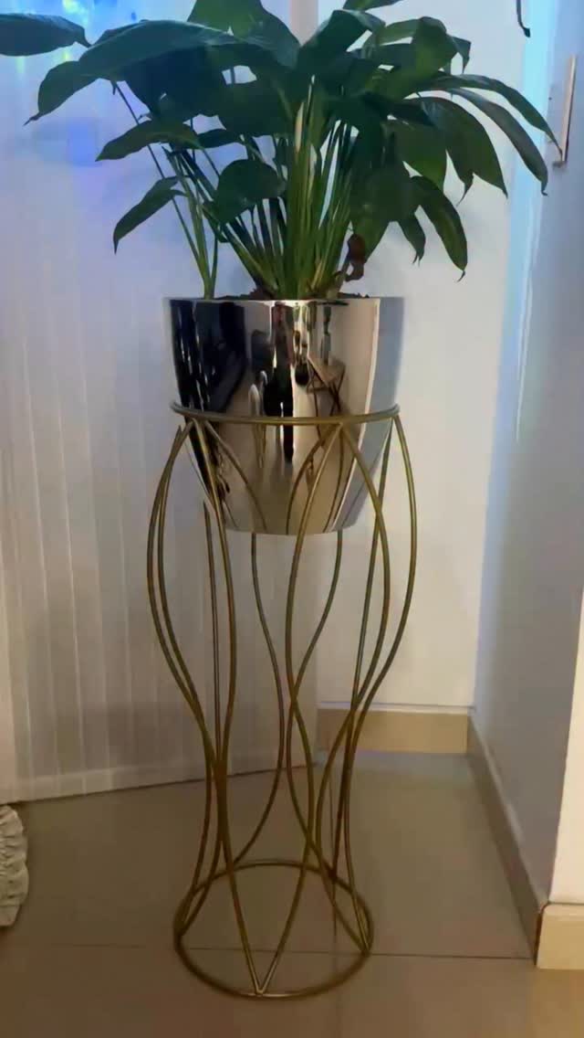 ✨ Nada nos alegra más que ver nuestras materas en sus hogares.

Así luce la P28 Metalizada con base en ondas… ¡simplemente hermosa! 💛🌿

Si quieres la tuya, escríbenos, con gusto te asesoramos y te ayudamos a elegir la ideal para tu espacio. 💬🪴