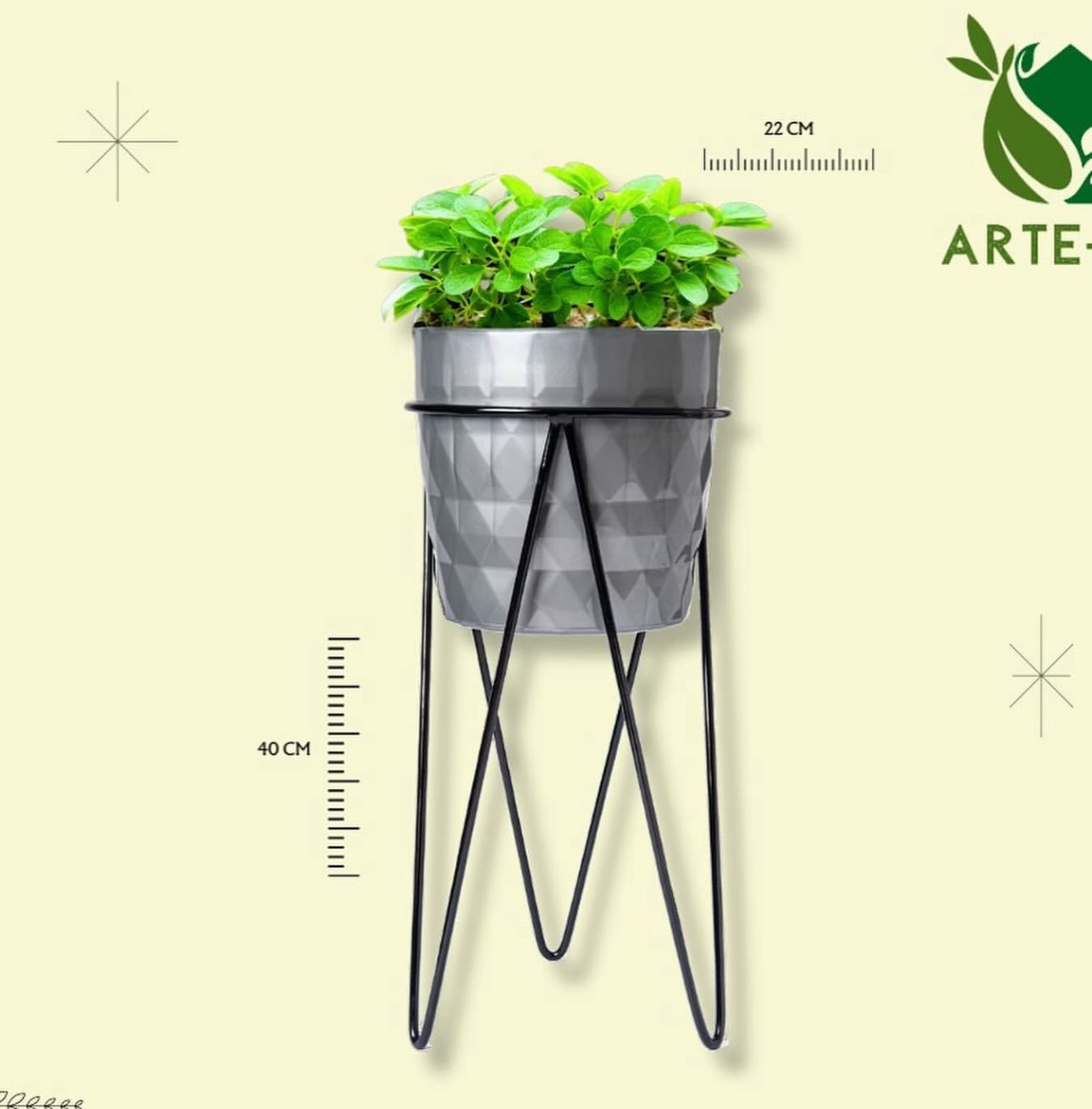 Imagen de WhatsApp 2025-05-13 a las 15.34.29_7d9a4b24