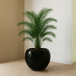 Esfera